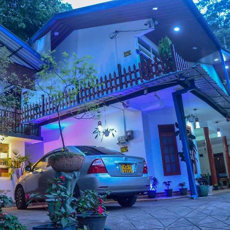 New Blue Home Ella Luaran gambar