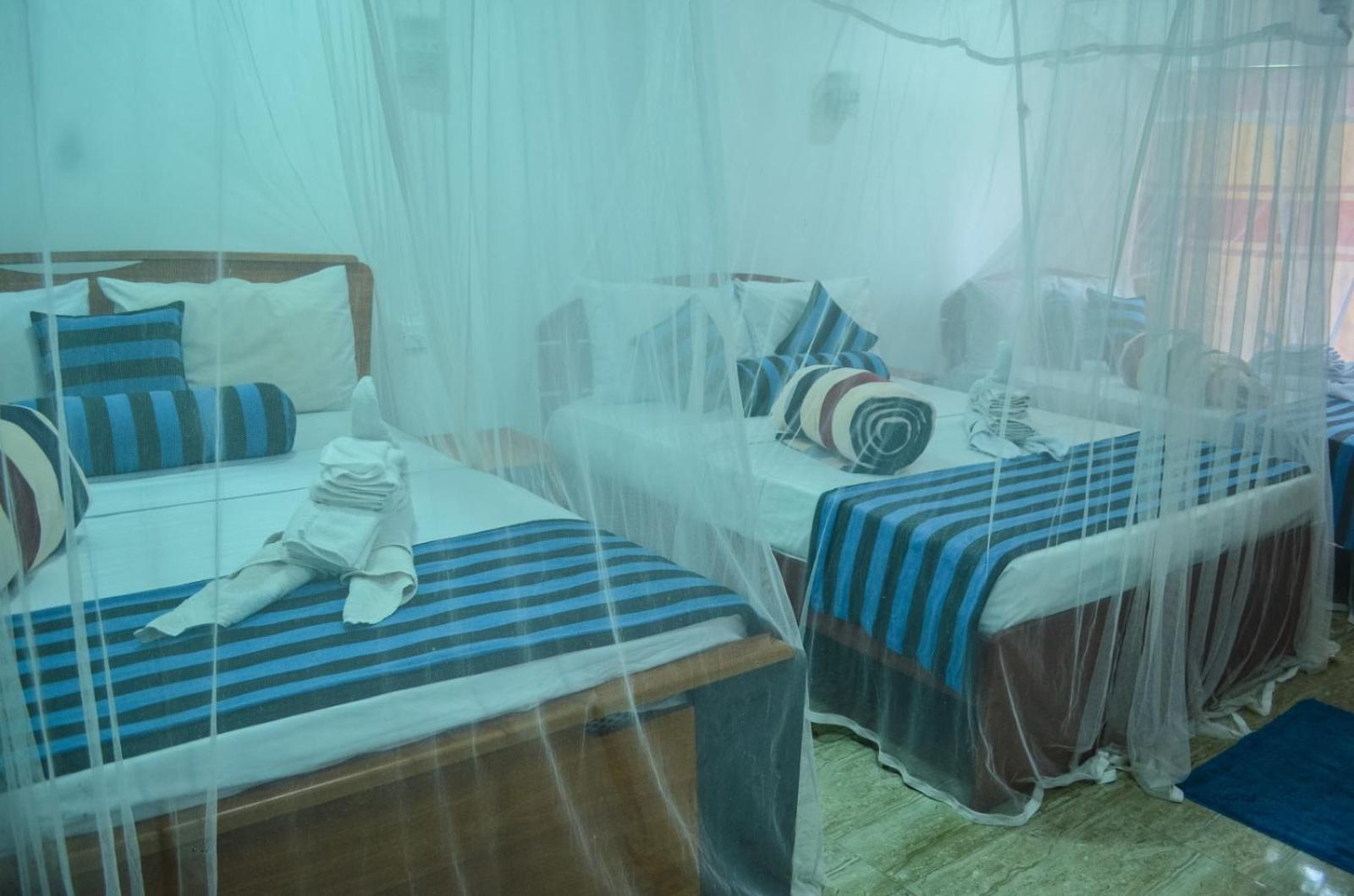 New Blue Home Ella Luaran gambar