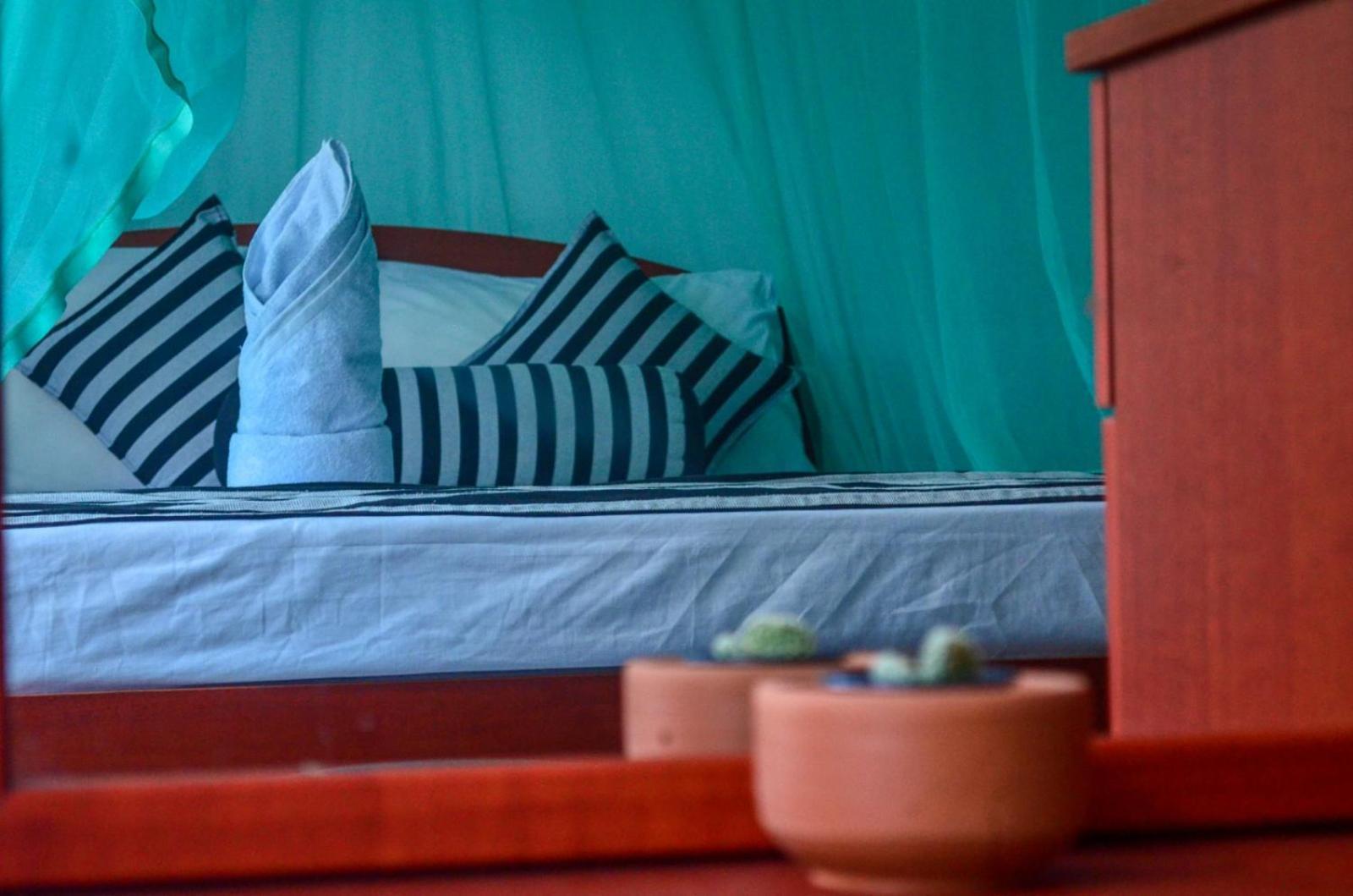 New Blue Home Ella Luaran gambar
